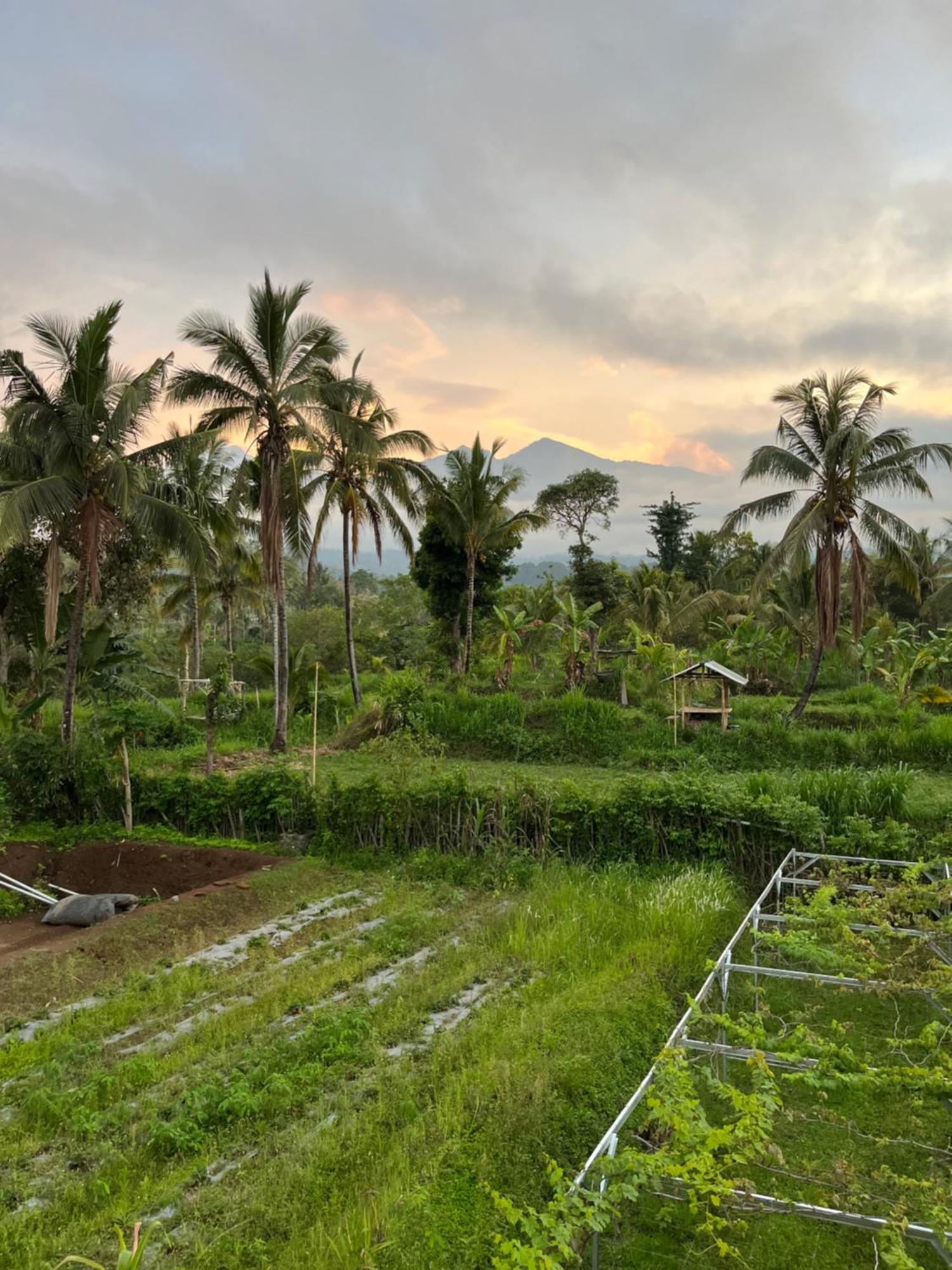 Rinjani Eco Villa Senaru Bayan Екстер'єр фото