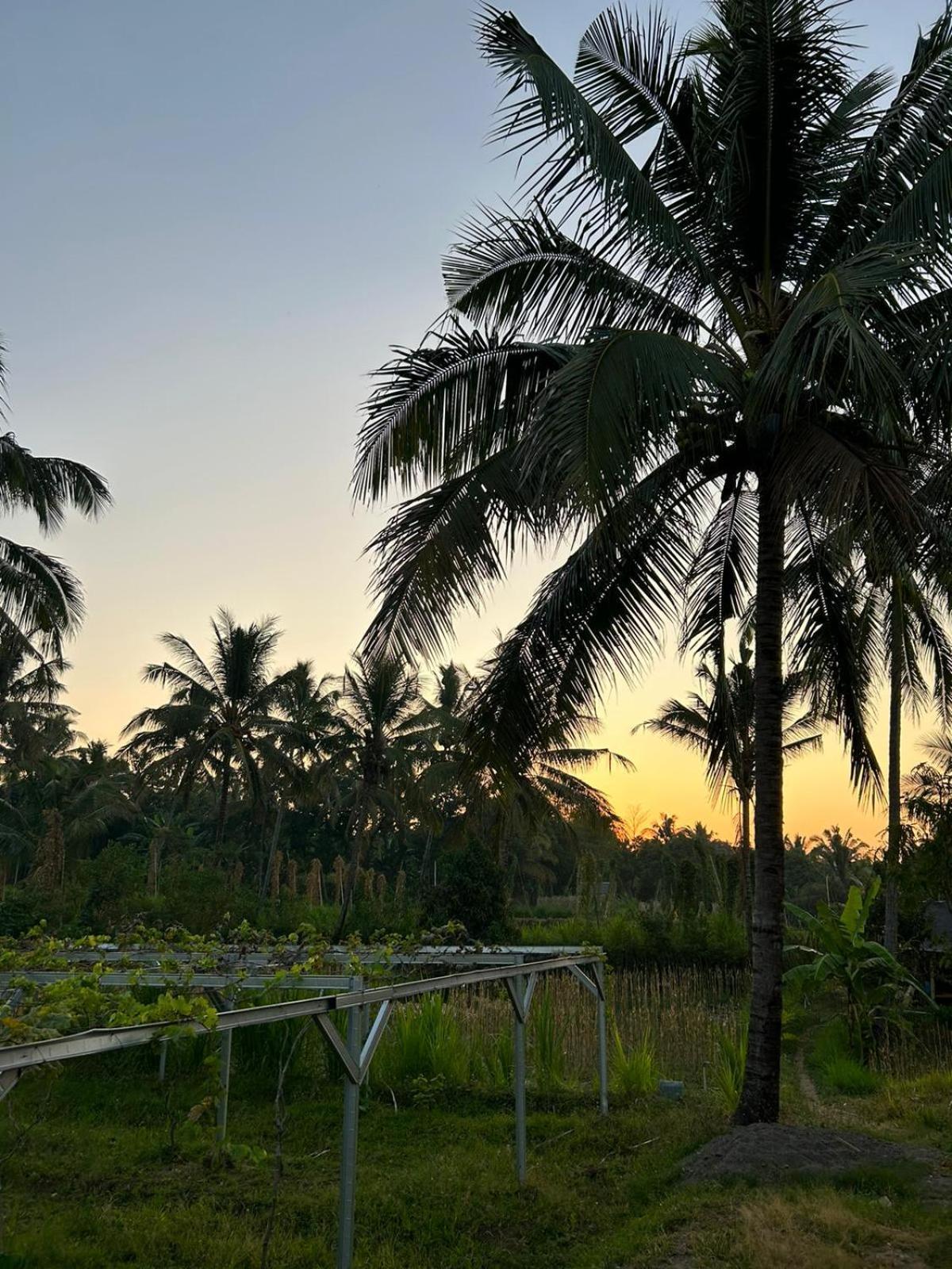 Rinjani Eco Villa Senaru Bayan Екстер'єр фото