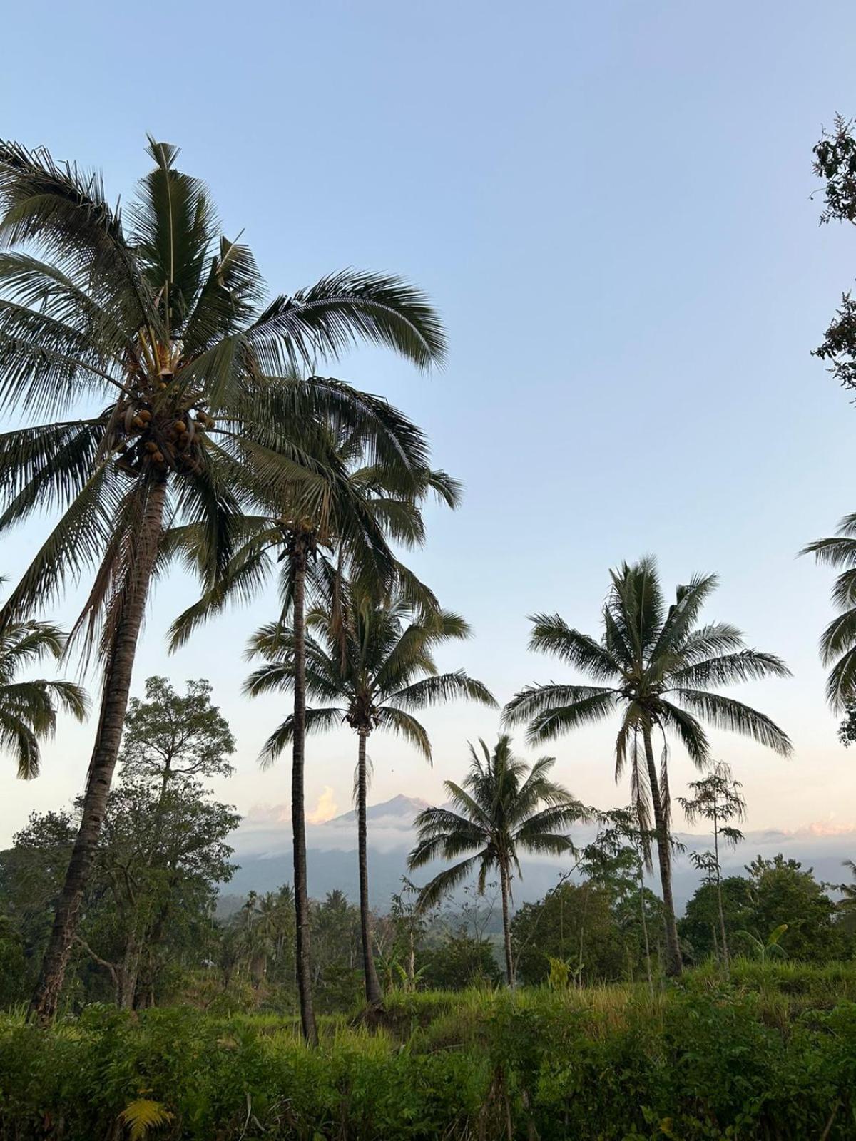 Rinjani Eco Villa Senaru Bayan Екстер'єр фото