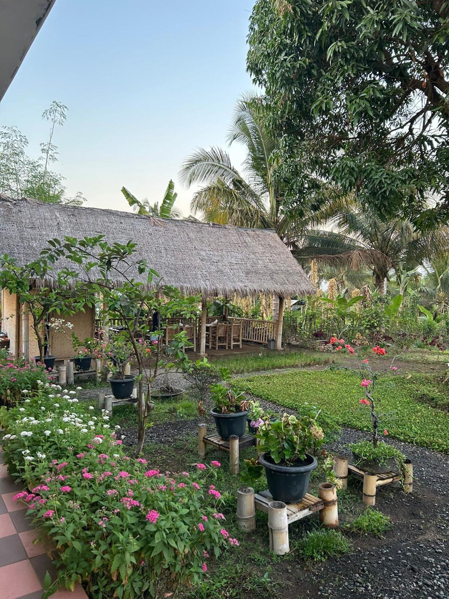 Rinjani Eco Villa Senaru Bayan Екстер'єр фото