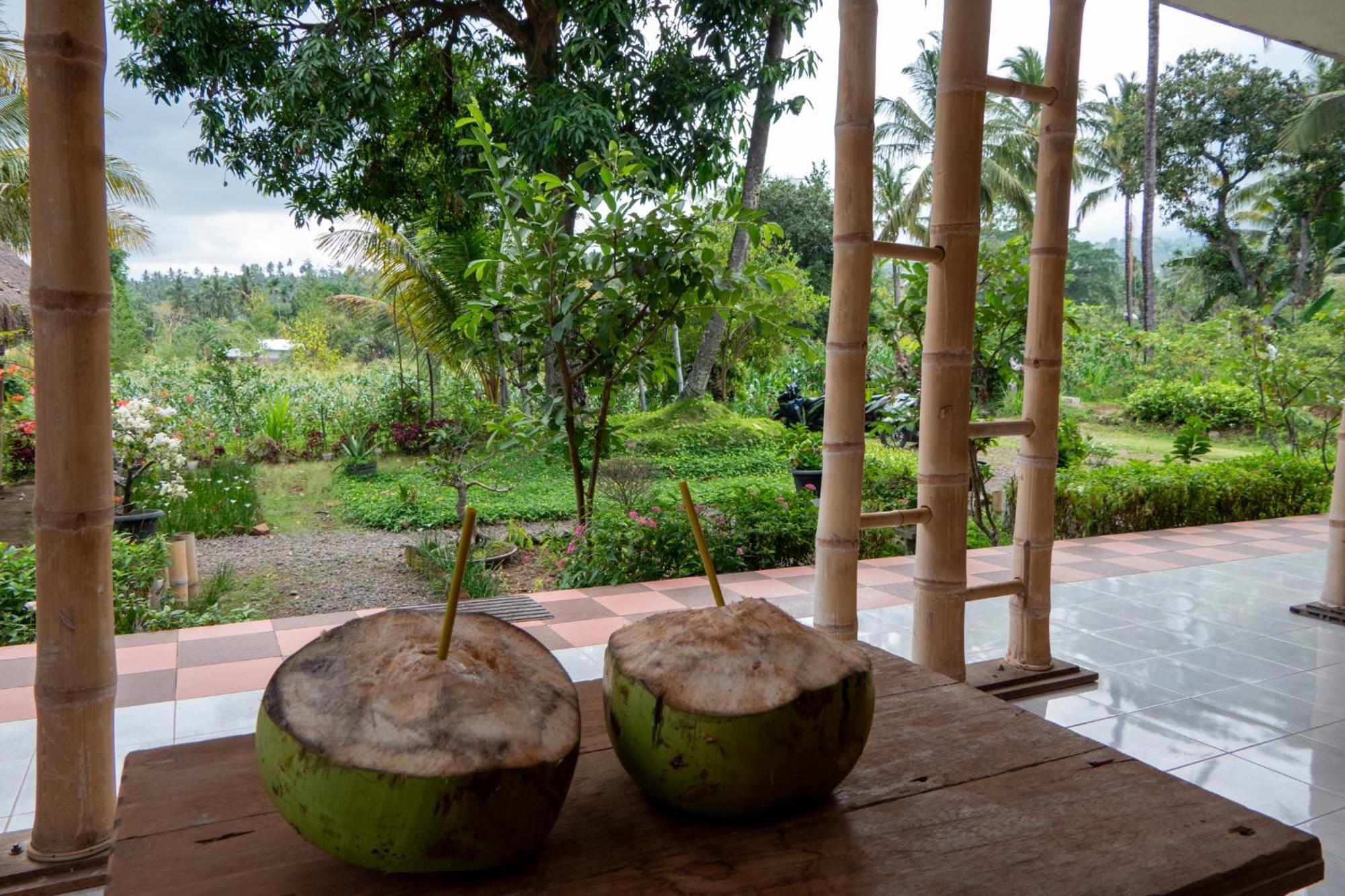 Rinjani Eco Villa Senaru Bayan Екстер'єр фото